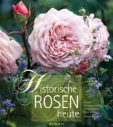 Historische Rosen heute