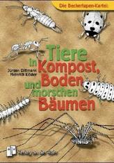 Die Becherlupen-Kartei: Tiere in Kompost, Boden und morschen Bäumen