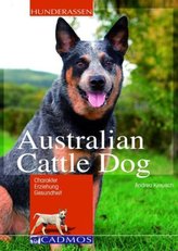 Australian Cattle Dog