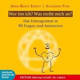 24 Adventssterne