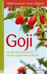 UNVERGESSEN