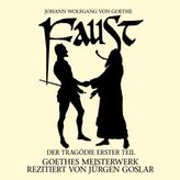 Faust: Der Tragödie erster Teil, 2 Audio-CDs