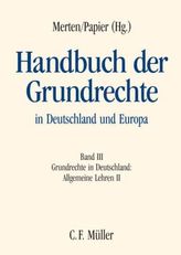 Grundrechte in Deutschland: Allgemeine Lehren II