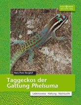 Mathematik für berufliche Gymnasien - Lineare Algebra