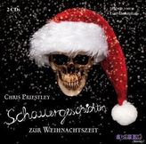 Schauergeschichten zur Weihnachtszeit, 2 Audio-CDs
