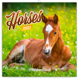 Kalendář 2021 poznámkový: Koně – Christiane Slawik, 30 × 30 cm
