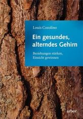 Ein gesundes, alterndes Gehirn