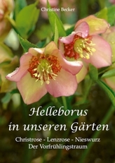 Universum und Quanten, DVD