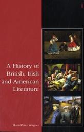 A History of British, Irish and American Literature, w. CD-ROM