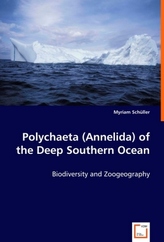 Polychaeta (Annelida) of the Deep Southern Ocean