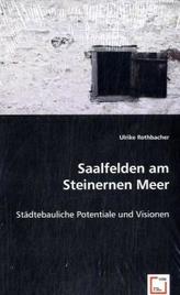 Saalfelden am Steinernen Meer