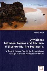 Symbioses between Worms and Bacteria in Shallow Marine Sediments