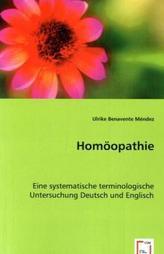 30 x 45 Minuten Englisch