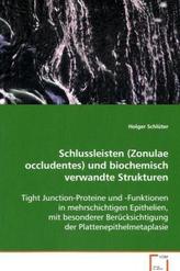 Schlussleisten (Zonulae occludentes) und biochemisch verwandte Strukturen