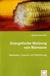 Energetische Nutzung von Biomasse