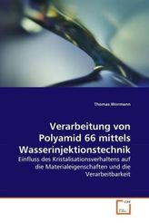 Verarbeitung von Polyamid 66 mittels Wasserinjektionstechnik