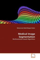 Medical Image Segmentation