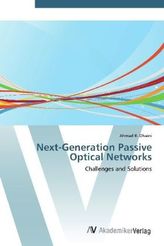 Next-Generation Passive Optical Networks