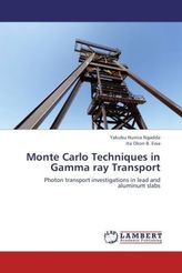 Monte Carlo Techniques in Gamma ray Transport