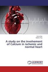 A study on the involvement of Calcium in ischemic and normal heart
