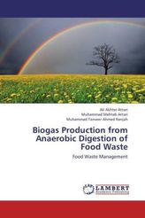 Biogas Production from Anaerobic Digestion of Food Waste
