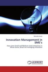 Innovation Management in SME s