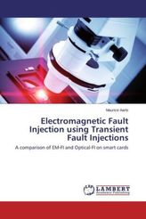 Electromagnetic Fault Injection using Transient Fault Injections