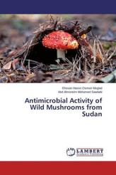 Antimicrobial Activity of Wild Mushrooms from Sudan