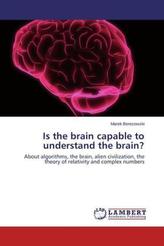 Is the brain capable to understand the brain?