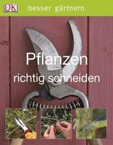 Franz Bracht Kranvermietung