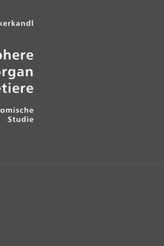 Das periphere Geruchsorgan der Säugetiere