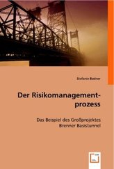 Der Risikomanagementprozess