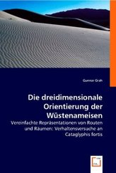 Die dreidimensionale Orientierung der Wüstenameisen