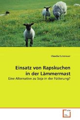 Gib deiner Sehnsucht Raum