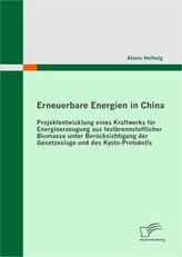 Erneuerbare Energien in China
