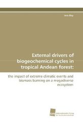 External drivers of biogeochemical cycles in  tropical Andean forest: