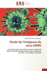 Etude de l intégrase du virus XMRV