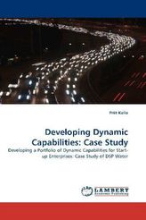 Developing Dynamic Capabilities: Case Study