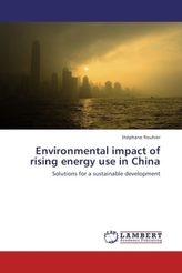 Environmental impact of rising energy use in China