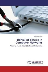 Denial of Service in Computer Networks