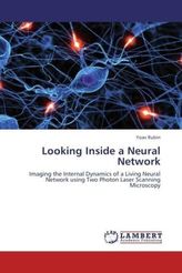 Looking Inside a Neural Network