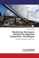 Marketing Strategies Related to Regional Integration Challenges