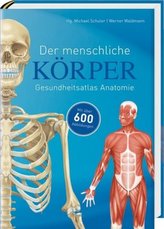 Der menschliche Körper