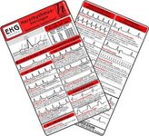 Rotaugenlaubfrösche