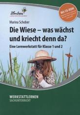 Bauen und Zeigen