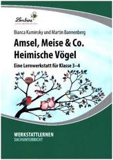 Amsel, Meise & Co. Heimische Vögel