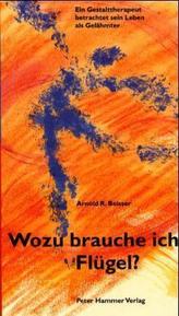 Reinigung des Zentralkanals durch Deinen Seelenstern, 1 Audio-CD