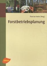 Die Nieder- und Oberlausitz - Konturen einer Integrationslandschaft. Bd.1