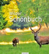 Wilder Schönbuch
