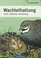 Wachtelhaltung